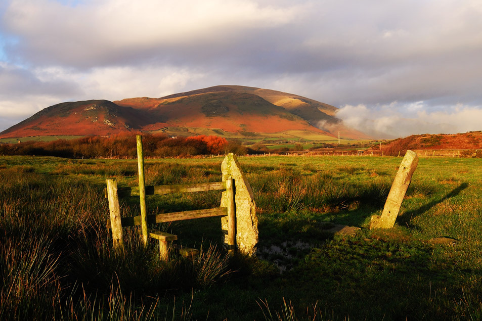 Races – Black Combe Runners